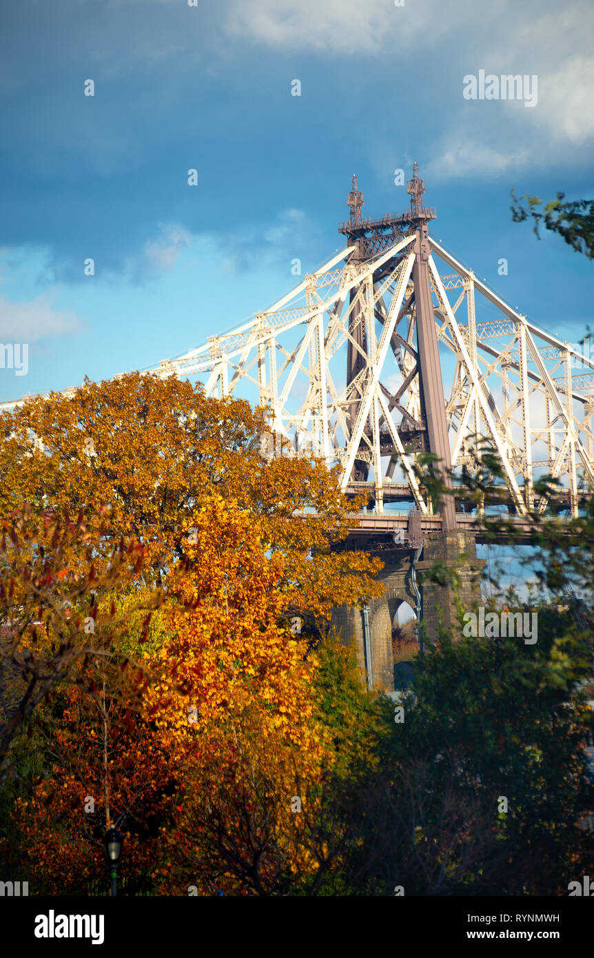 Herbst Laub mit Queensborough Bridge Stockfoto