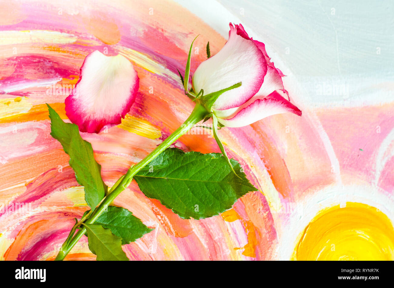 Rose auf einem malerischen Leinwand Hintergrund. Gruß und die Karte für Muttertag, Tag der Frauen. Stockfoto