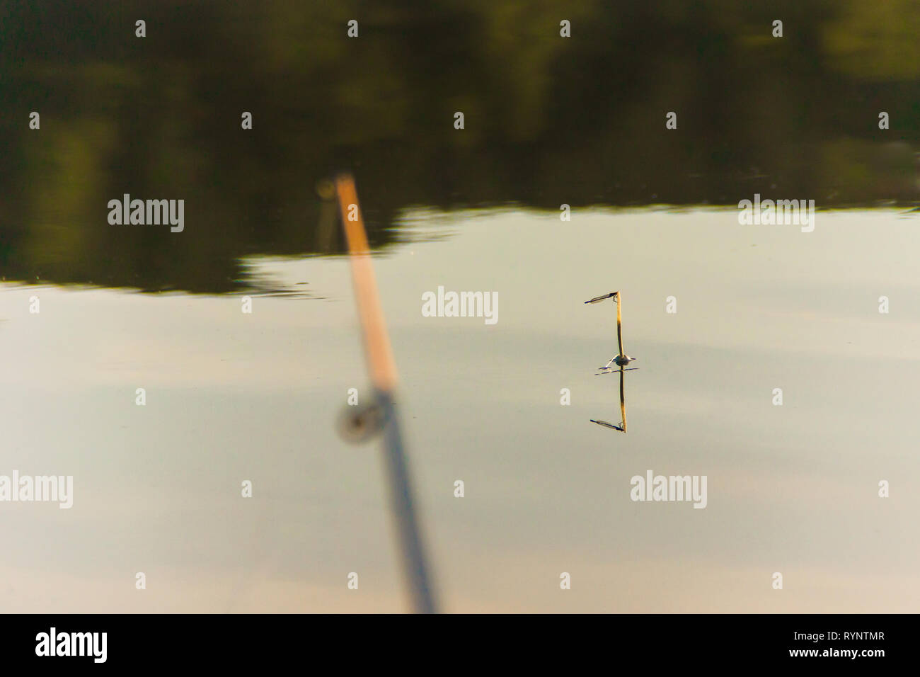 Angeln mit einer Schwimmrute in einem Süßwasserreservoir Stockfoto