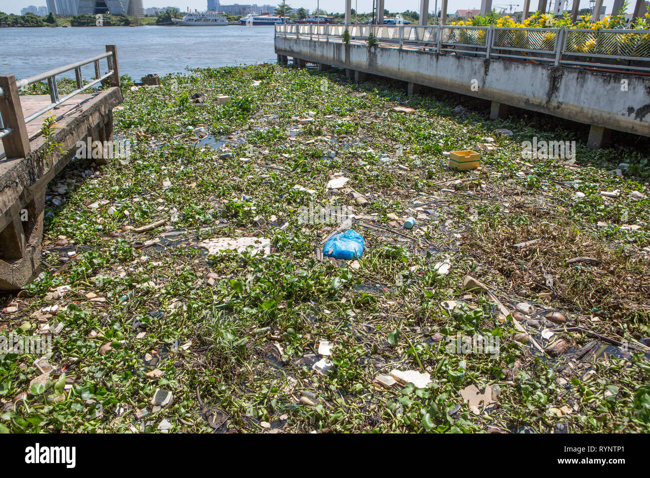 Ablehnen, am Fluss Saigon, Ho Chi Minh City, Vietnam Stockfoto