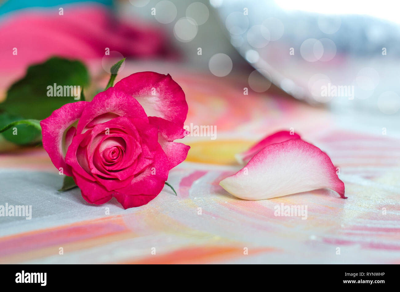 Rose auf einem malerischen Leinwand Hintergrund. Gruß und die Karte für Muttertag, Tag der Frauen. Stockfoto