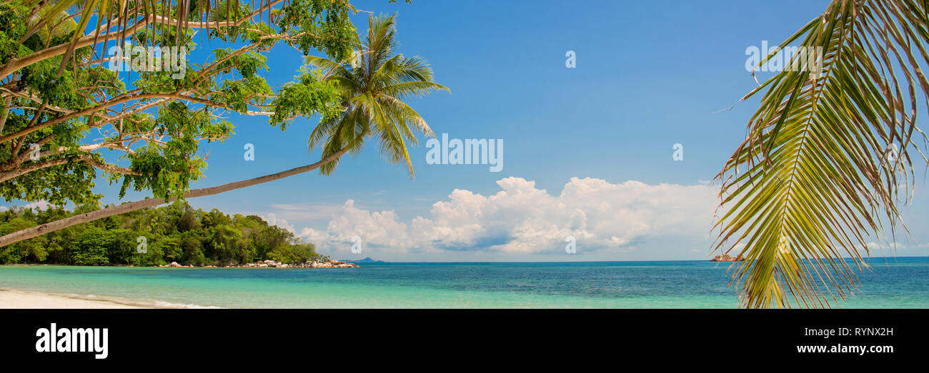 Tropisches Paradies Strand Panorama mit einem schiefen Palm Tree Stockfoto