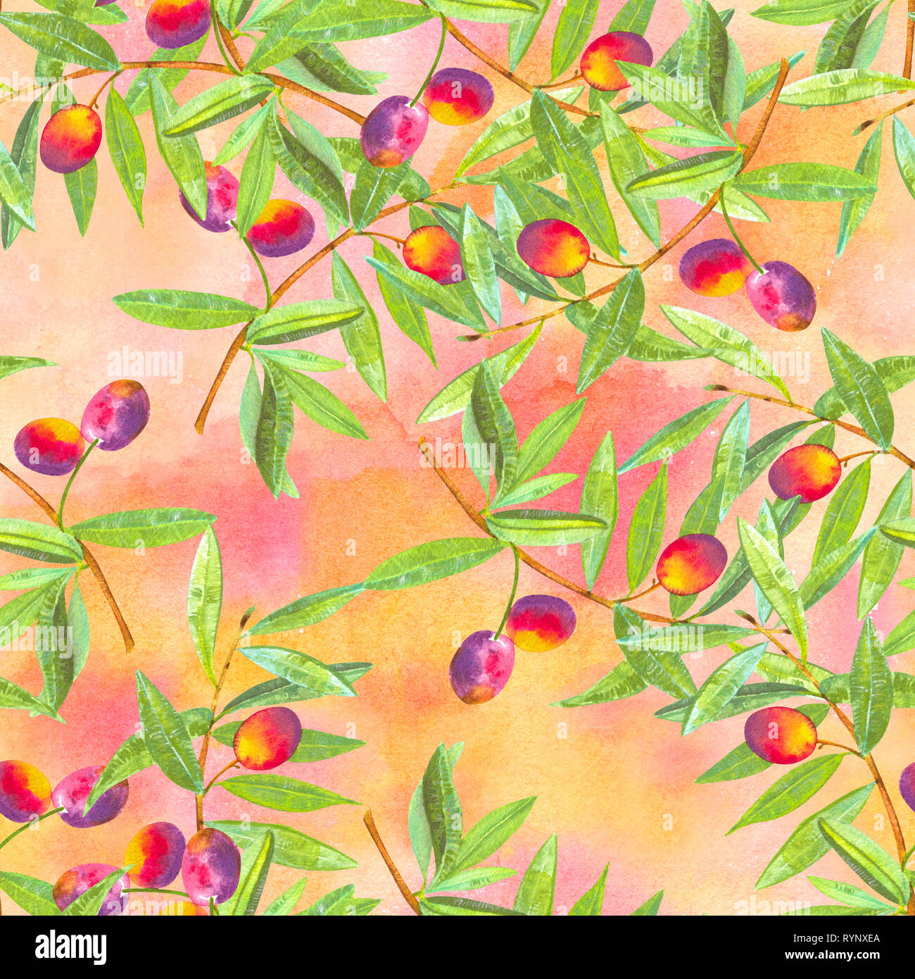 Eine nahtlose Aquarell Muster der lebendigen Olivenbaum Zweige mit Oliven,  eine vegane wiederholen auf einer abstrakten Hintergrund Stockfotografie -  Alamy