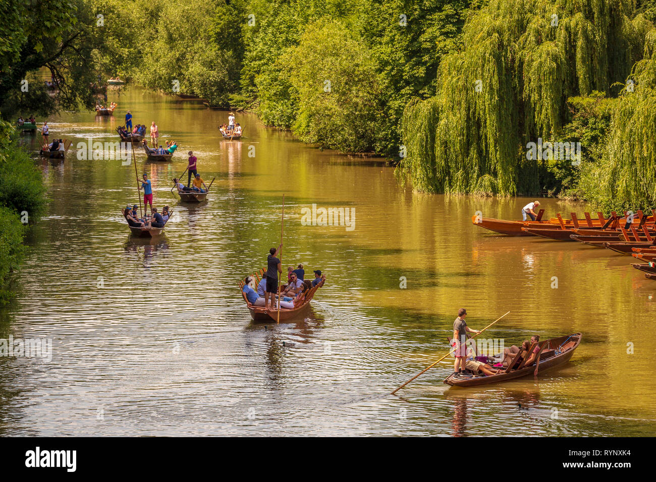 Stochrekahn in Tübingen. Stockfoto