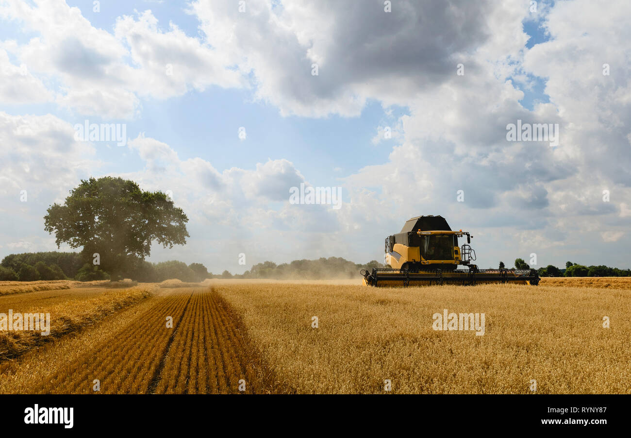 Ernte datiert uk Login