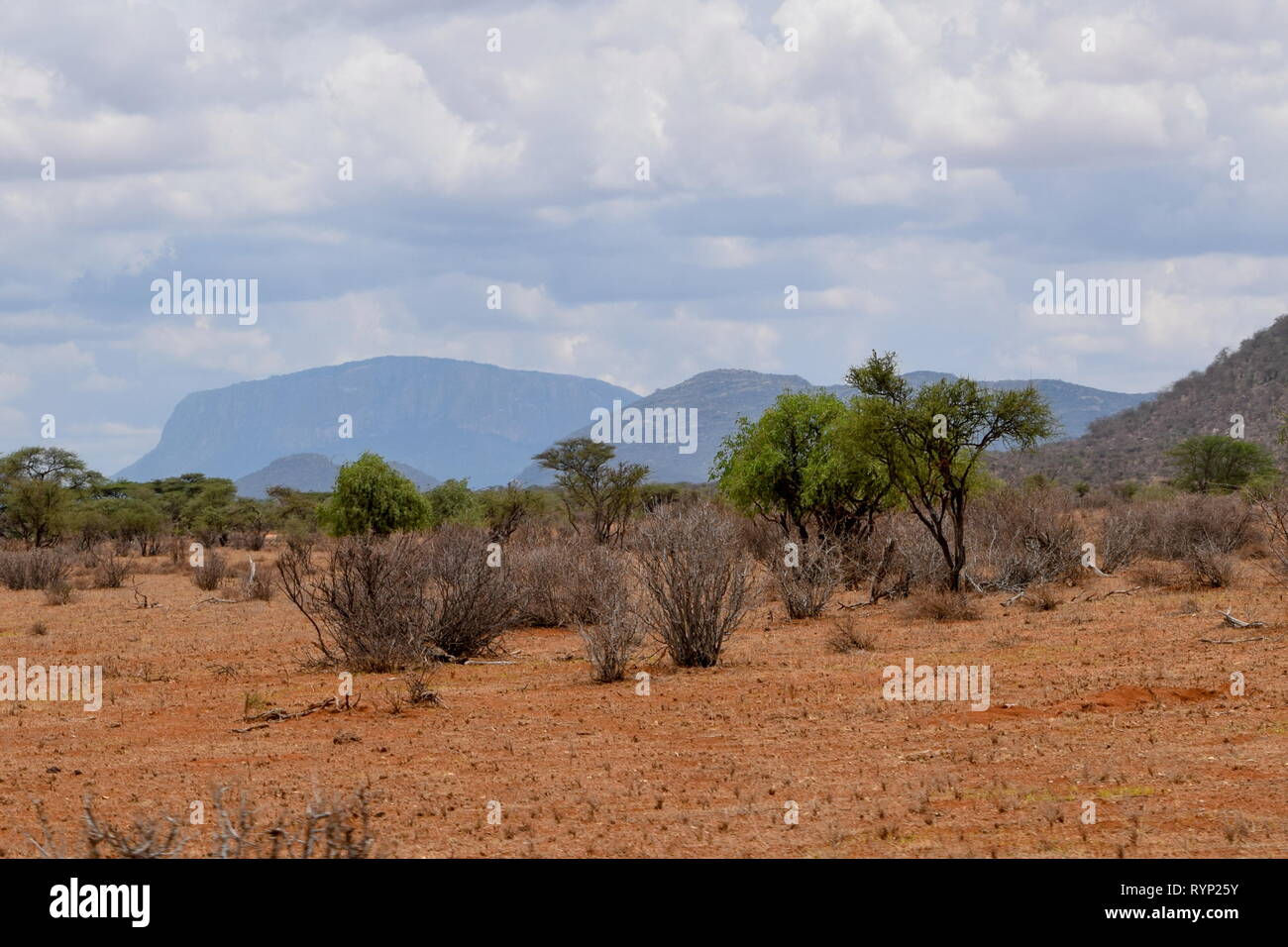 Die trockenen Landschaften von Samburu National Reserve, Kenia Stockfoto
