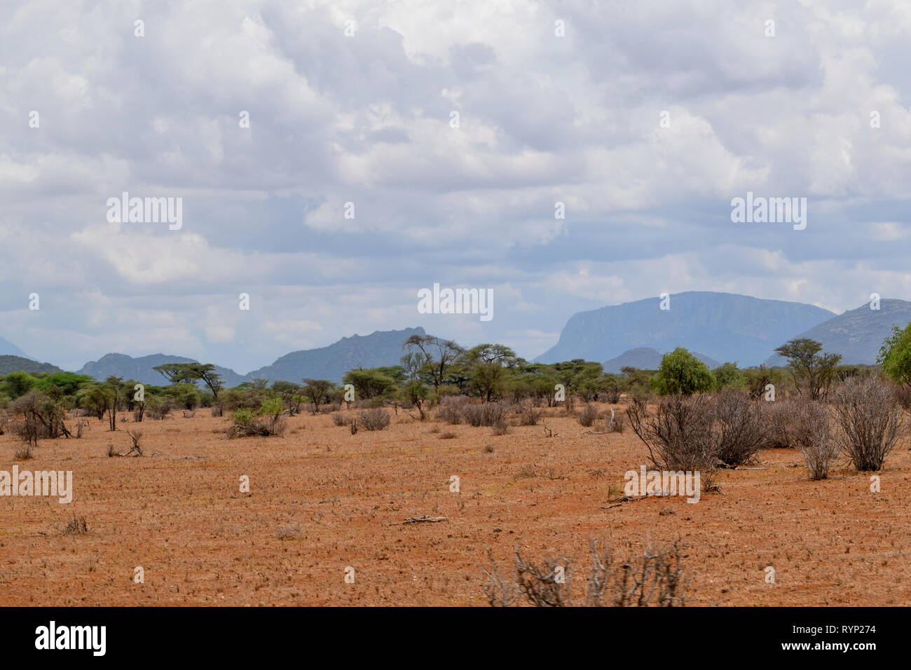 Die trockenen Landschaften von Samburu National Reserve, Kenia Stockfoto