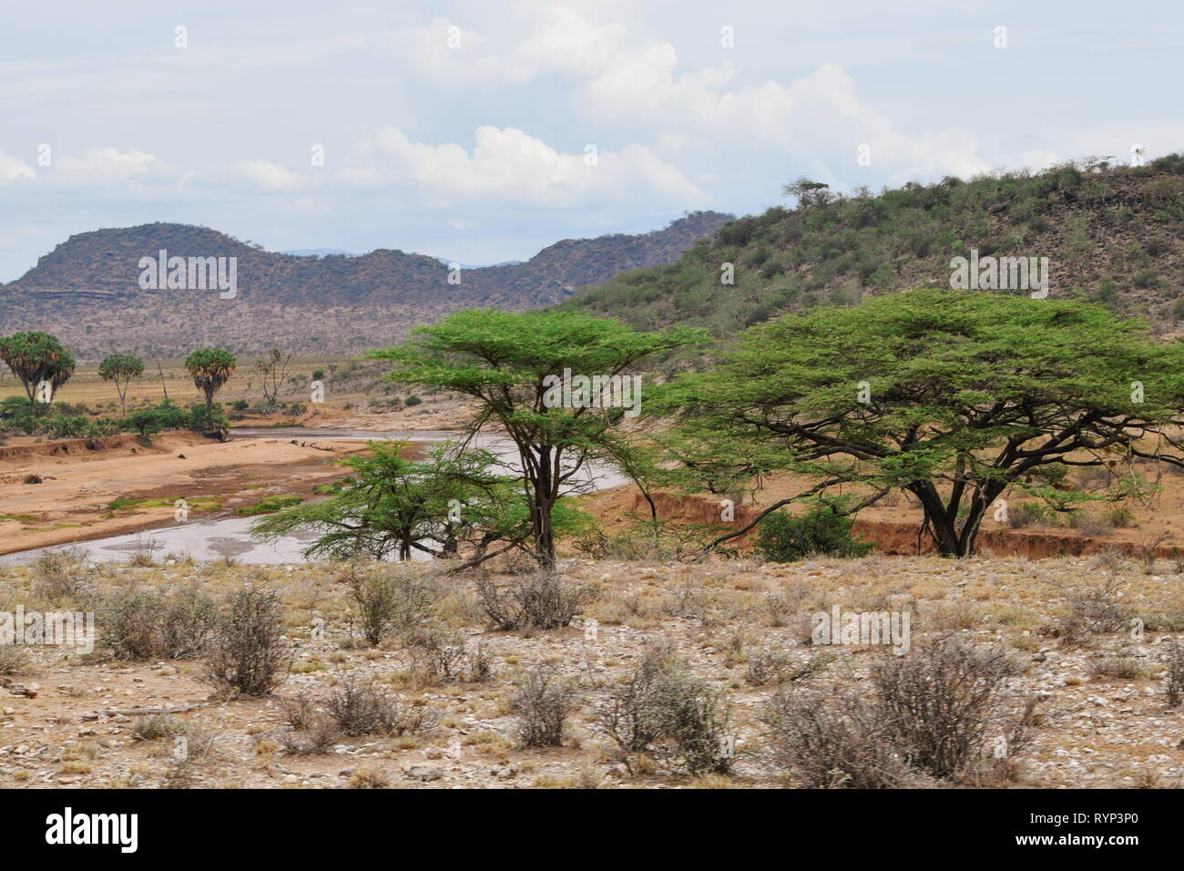 Ewaso Nyiro River in Samburu National Reserve, Kenia Stockfoto