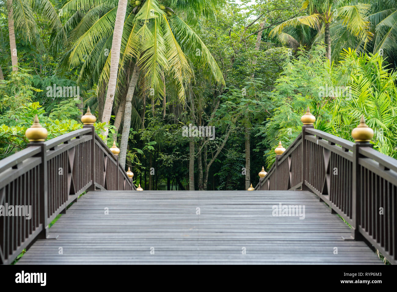 Holzbrücke und tropische Vegetation in Sri Nakhon Khuean Khan Park und Botanischer Garten (Krachao in Bang Kachao). Stockfoto