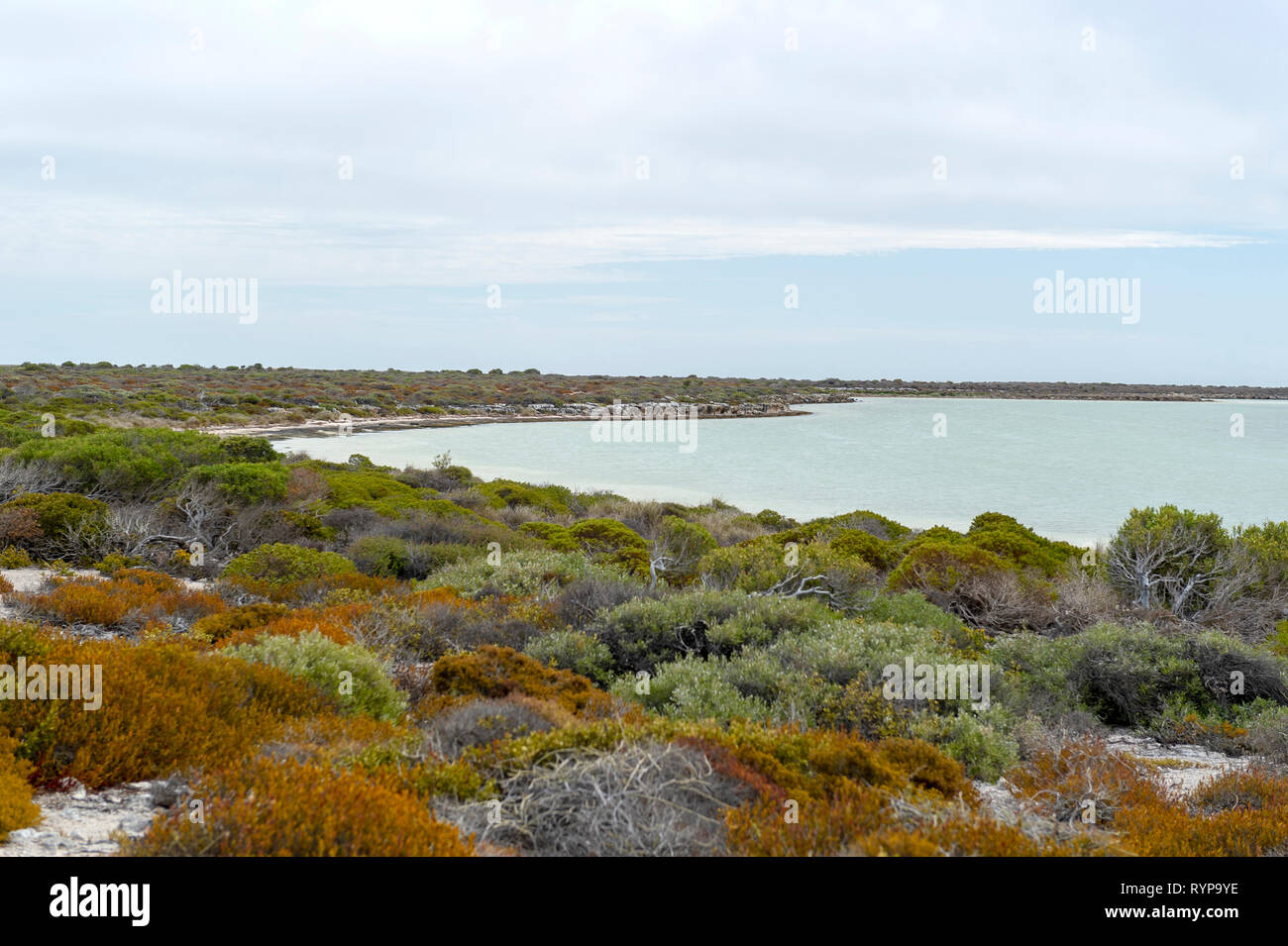 Die Ostseite der Insel im Westen Wallabi Wallabi Group. Die Houtman Abrolhos Inseln liegen 60 Kilometer vor der Küste von Geraldton in Western Austra Stockfoto