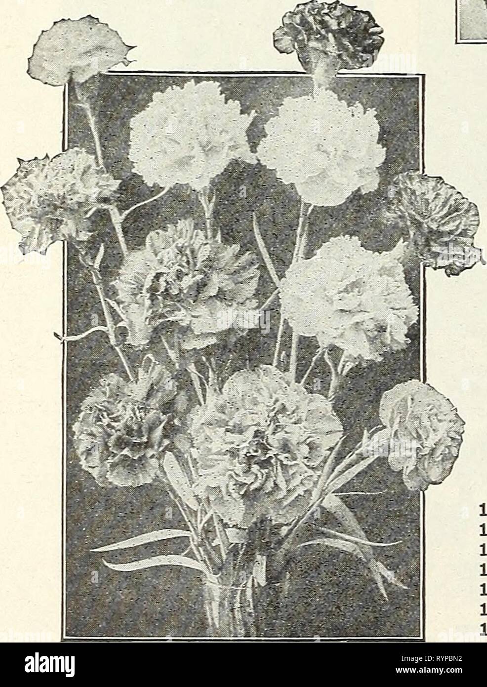 Dreer Hochsommer Liste 1931 (1931) Dreer Hochsommer Liste 1931. dreersmidsummerl 1931 henr Jahr: 1931 DREER die BLUMENSAMEN FÜR SOMMER AUSSAAT calendula (Ringelblume) Jederzeit gesät Samen während tlie Frühsommer blühen frei in ein paar Wochen; wertvolle auch Für Topfkultur und Gewächshaus, blühende frei im Winter und frühen Frühling. pro Pck. 1682 Orange König. Eine extra feine Double Rich orange-rote Sorte, pro-risikoverringerung Blumen über 3 Zoll im Durchmesser. 2 oz, 25 cts.; 1 oz, 40 cts.. . $ 0 10 1686 Zitrone König. Reich zitronengelb. § Oz, 25 cts.; 1 oz, 40 cts 10 1684 Golden King. Reich Golde Stockfoto