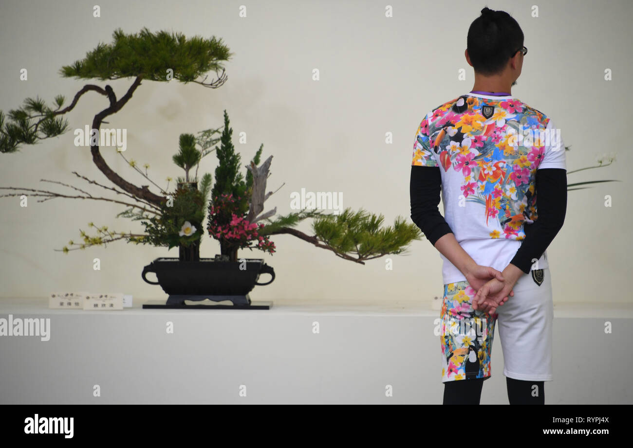 Hongkong, China. 14 Mär, 2019. Ein blumengeschäft Ansichten eine Ausstellung während der Hong Kong Blumenausstellung in Hong Kong, South China, 14. März 2019. Die 10-tägige flower show trat weg hier am Freitag. Credit: Lui Siu Wai/Xinhua/Alamy leben Nachrichten Stockfoto