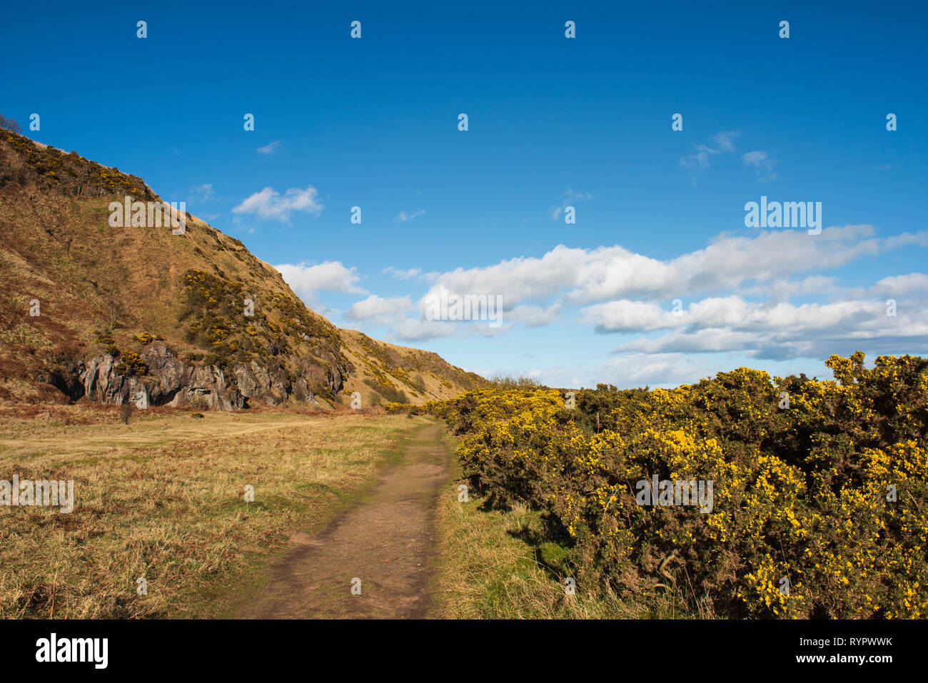 St Cyrus National Nature Reserve, Aberdeenshire, Schottland. Stockfoto