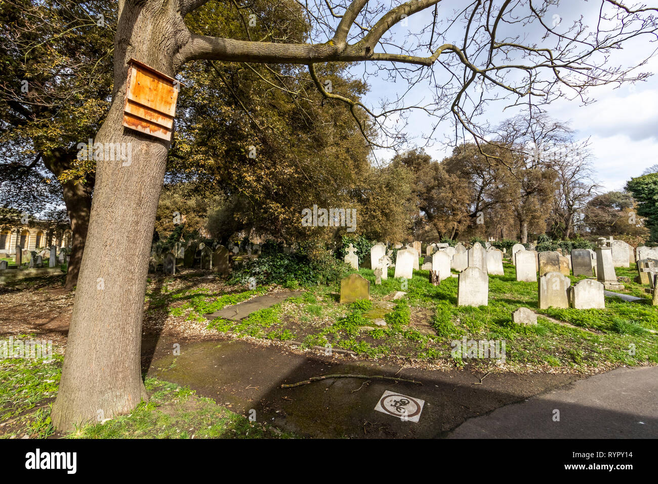 Brompton Friedhof. Im Jahre 1840 als kommerzielle Friedhof eröffnet wurde, gibt es nur sehr wenige Arme hier begraben. London. Großbritannien Stockfoto