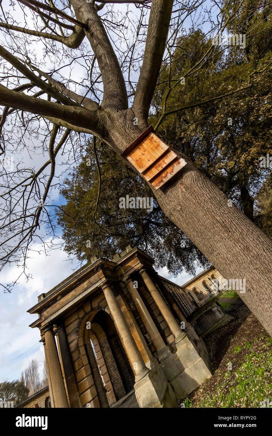 Brompton Friedhof. Im Jahre 1840 als kommerzielle Friedhof eröffnet wurde, gibt es nur sehr wenige Arme hier begraben. London. Großbritannien Stockfoto