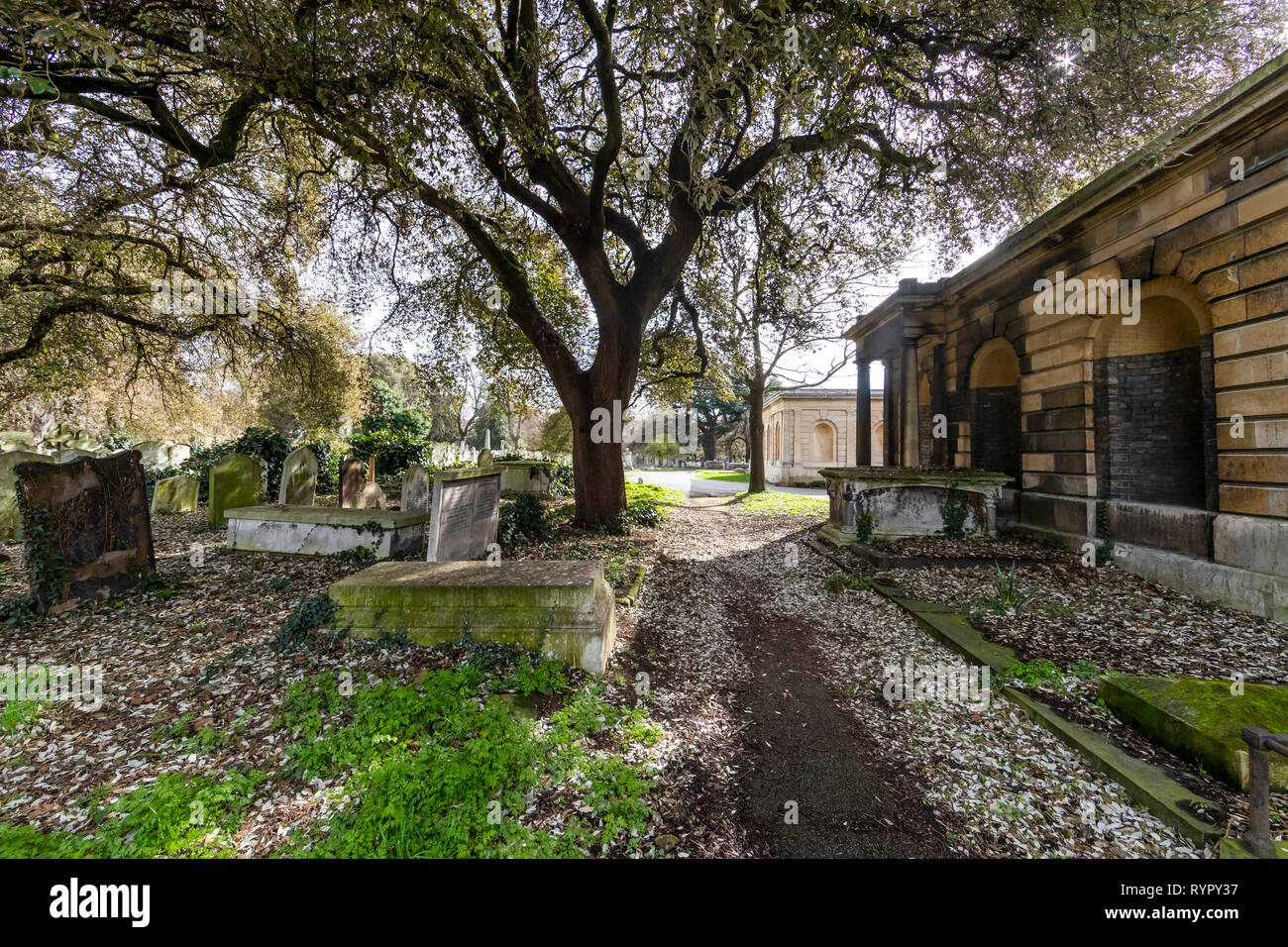 Brompton Friedhof. Im Jahre 1840 als kommerzielle Friedhof eröffnet wurde, gibt es nur sehr wenige Arme hier begraben. London. Großbritannien Stockfoto