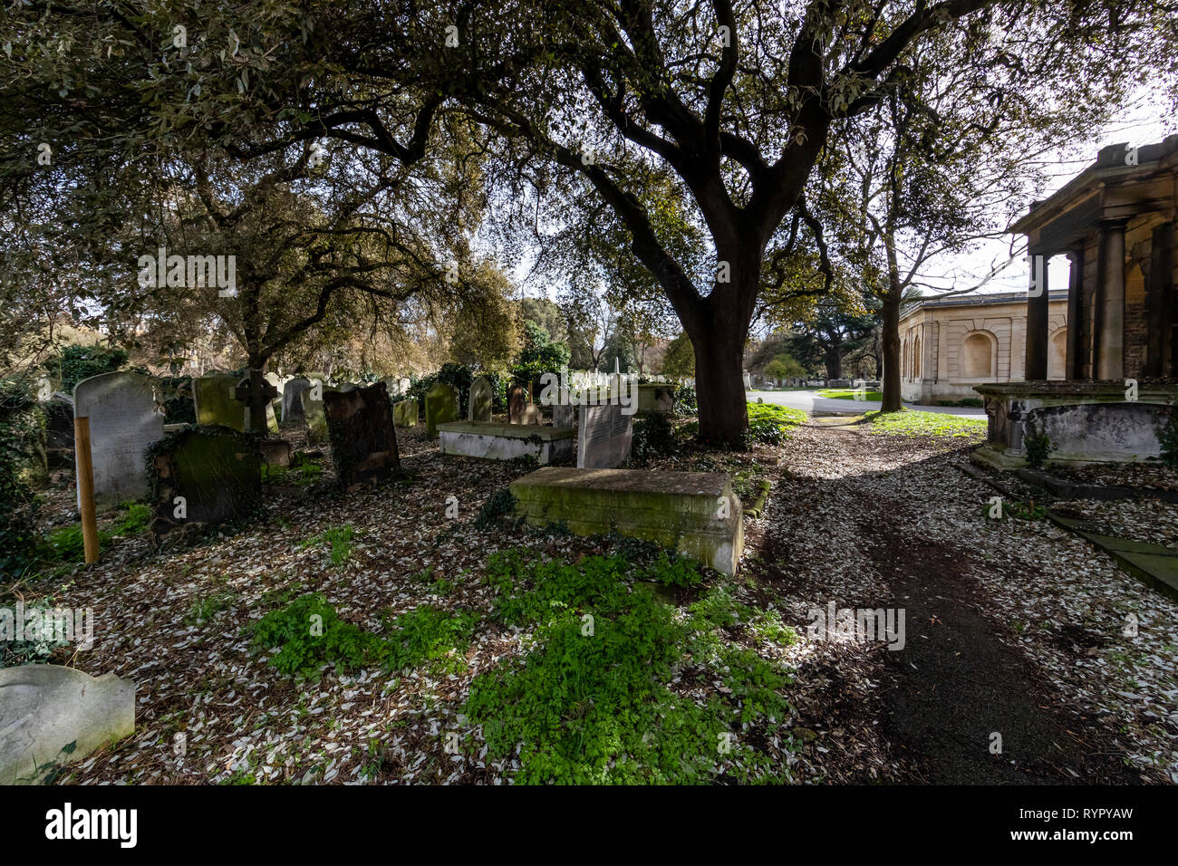 Brompton Friedhof. Im Jahre 1840 als kommerzielle Friedhof eröffnet wurde, gibt es nur sehr wenige Arme hier begraben. London. Großbritannien Stockfoto