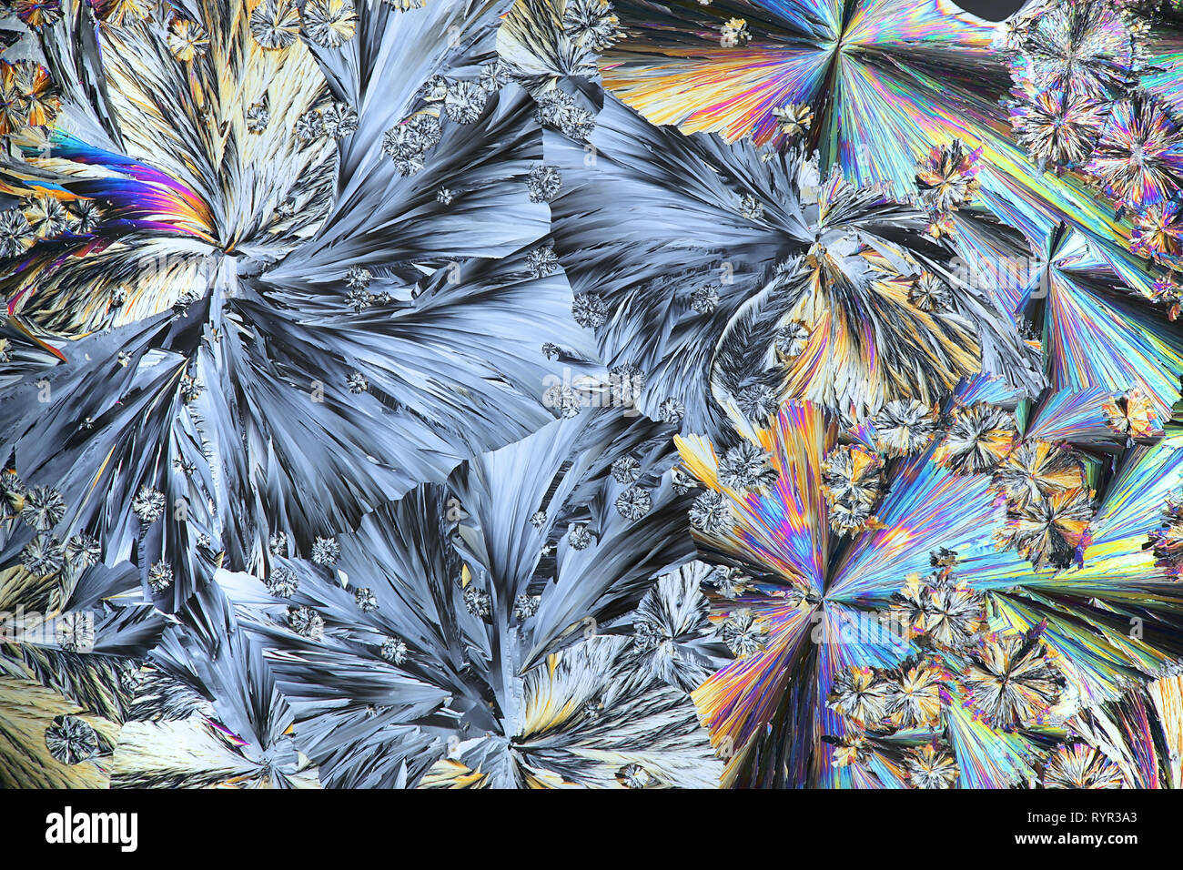 Chemie und Kunst Kristalle von Konservierungsmittel, Zitronensäure, ein Mikroskop Bild. Stockfoto