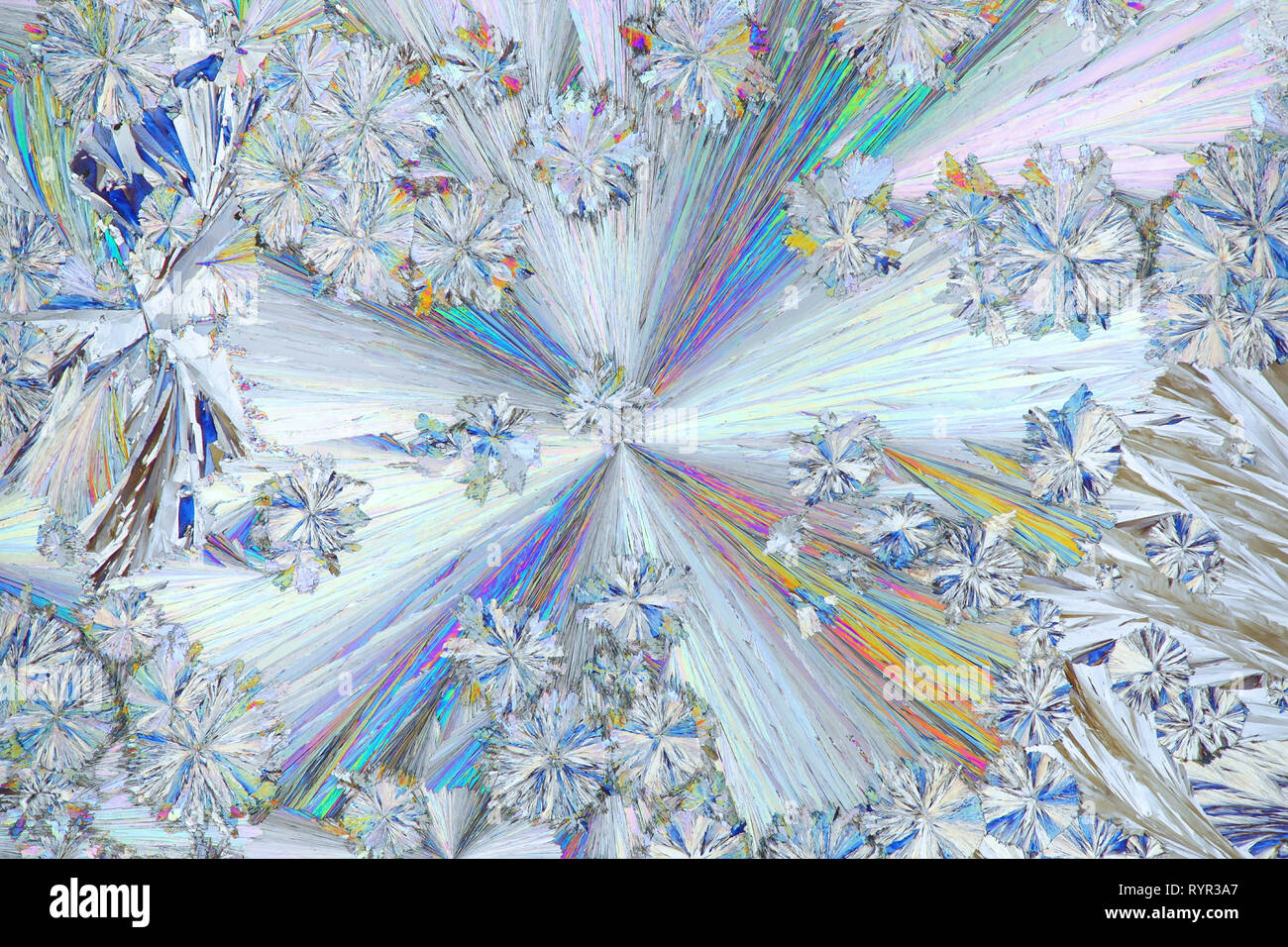 Chemie und Kunst Kristalle von Konservierungsmittel, Zitronensäure, ein Mikroskop Bild. Stockfoto