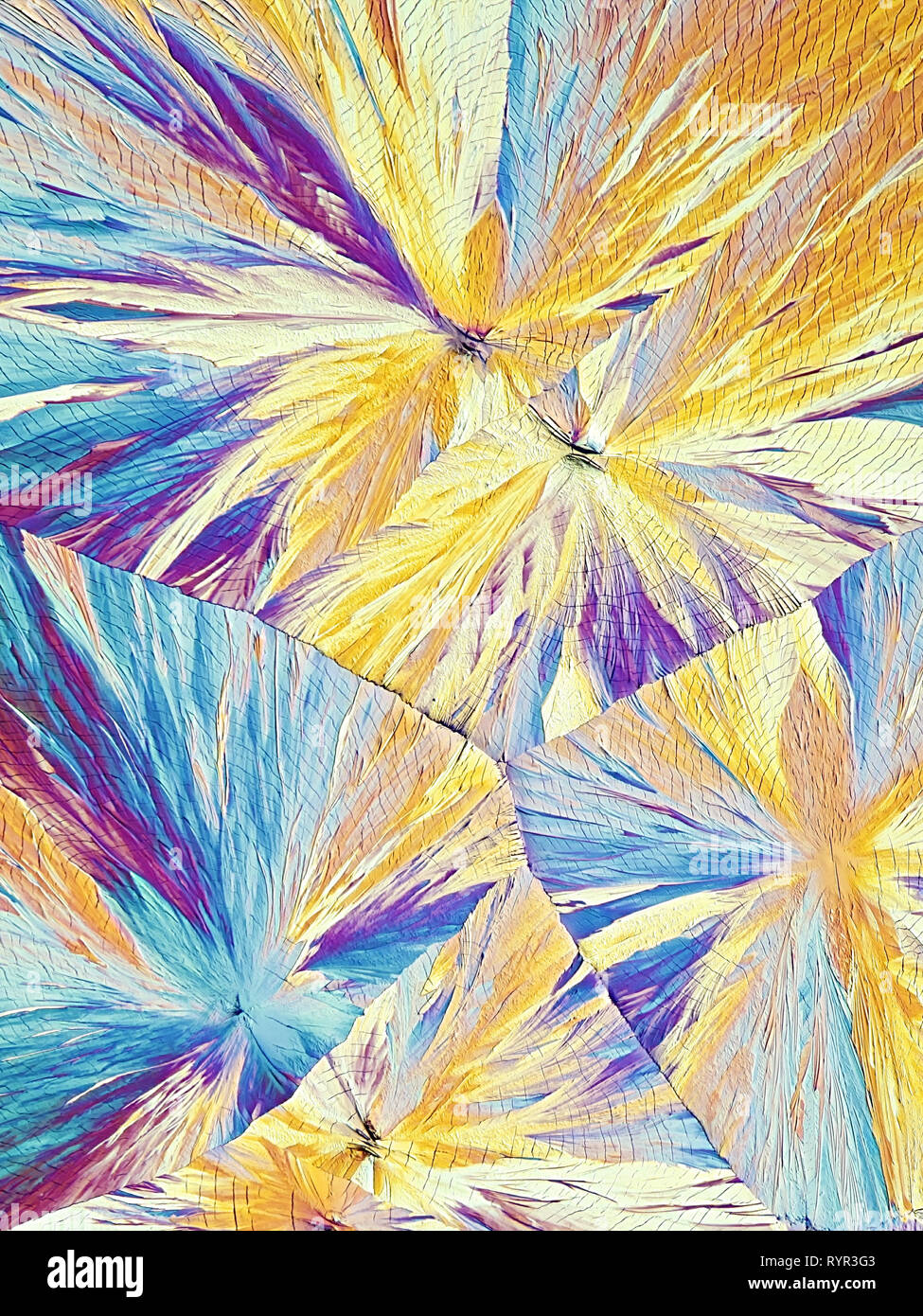 Kunst und Wissenschaft. Dies ist Ascorbinsäure, bekannt als Vitamin C, in kristallisierter Form fotografiert bekannt Stockfoto