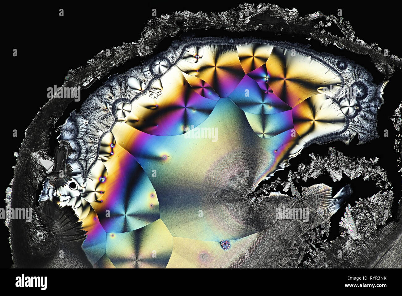 Anatomie der künstlichen Intelligenz. Stockfoto