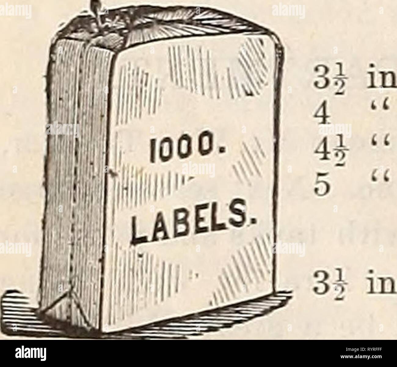 Dreer's Mitte Sommer Liste, Erdbeerpflanzen, dreer's Mitte Sommer Liste, Erdbeerpflanzen, Sellerie und andere Saisonale Pflanzen, Samen etc.: Juli 1896 August 1896 dreersmidsummerl henr Jahr: 1896 Verbesserte Wliite Zeder Wannen. Von - White Cedar hergestellt und mit zusätzlichem Eisen hoops gebunden. Drop - Griffe aus besonderen Muster, das die Haken für die Polen. Erhebliche eisernen Beine von Original Design. Pro-forated BemoTable aufsitzt. Grün lackiert. Wenn lackiert Zinnoberrot, fügen Sie 10 Prozent. Maschine MADJE. HAND GEMACHT. Außerhalb Diam. 27 in. 25 in. 23 in. 21 in. 18 in. 16 in. 14 in. 13. 12 in. 24 in $ 6,75 22 5,50 Stockfoto