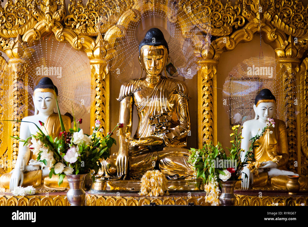 Gold Buddha Statue an Schwedagon Pagode, Yangon, Myanmar Stockfoto