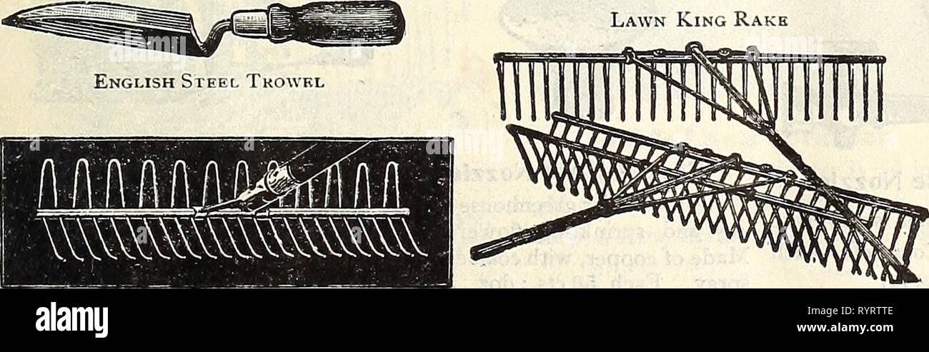 Dreer's Mitte Sommer Katalog 1916 (1916) des Dreer Mitte Sommer Katalog 1916. dreersmidsummerc 1916 henr Jahr: 1916 BOP.Der SheAK Uock Extraktoren. Schwere, für Feld uie. . "Oder das Unkraut Heber. Sm., 50 cts., große Gras Haken oder Sicheln. Englisch genietet, Hack, Nr. 0, 40 cts.; Nr. l, 50 cts.; Nr. 2, 60 cts.; Nr. 3 Little Giant, 50 cts.; Dreer spezielle Mole Fallen, Olmstead, $ 1,50; Reddick.. Rechen. Hustler, feuerverzinkt, v^ ire, 24 Zähne, 50 cts.; 3 t) Zähne Rasen König, Holz, 22 Zähne, 40 cts.; 26 Zähne, 50 cts.; 38 Zähne, 75 cts.; 50 Zähne. Automatische Selbstreinigung, Holz, 22 Zähne, 60 cts.; 26 Zähne, 70 cts.; 38 t Stockfoto