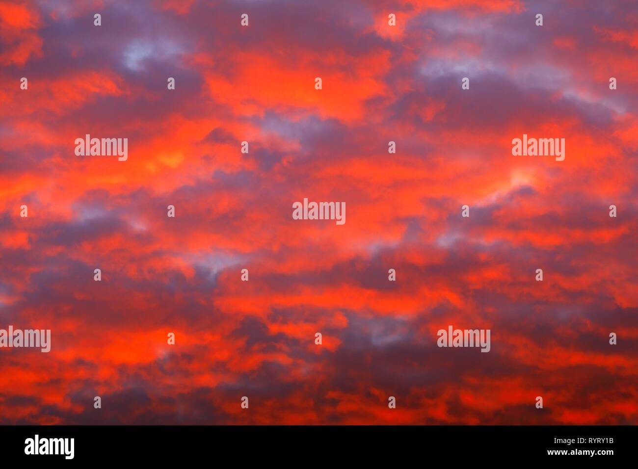 Red bewölkter Himmel bei Sonnenuntergang, Schleswig-Holstein, Deutschland Stockfoto