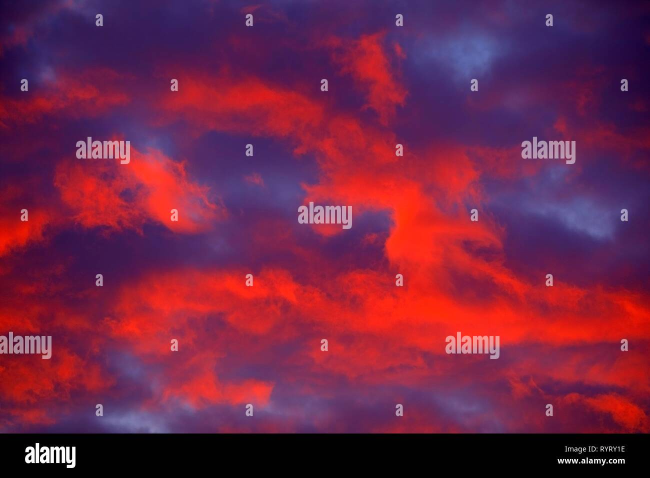 Red bewölkter Himmel bei Sonnenuntergang, Schleswig-Holstein, Deutschland Stockfoto