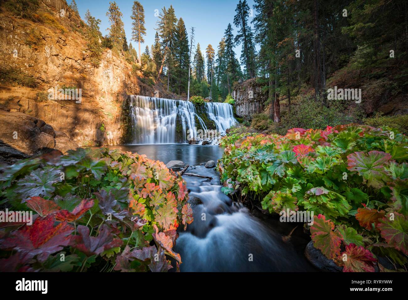 Mitte fällt, fallen Wasserfall, McCloud River, Siskiyou County, Kalifornien, USA Stockfoto