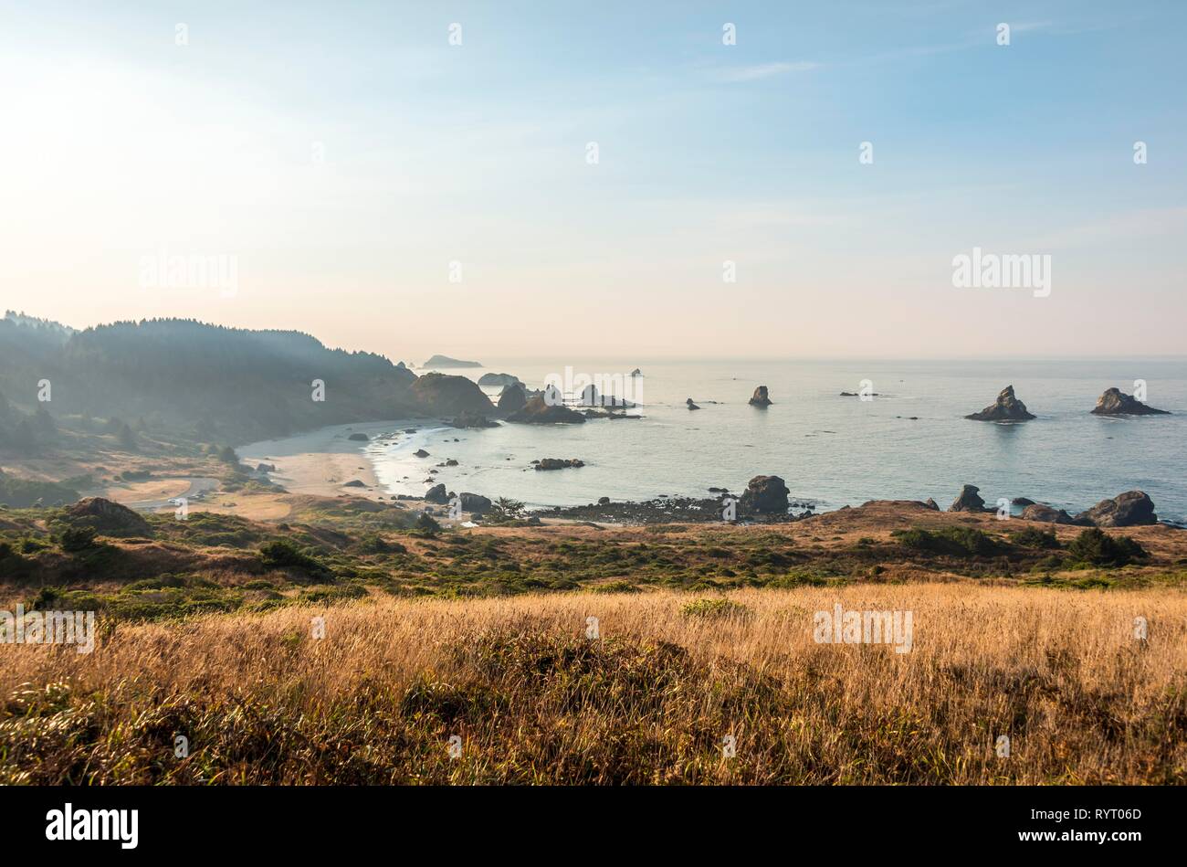 Küstenlandschaft mit vielen schroffen Felsen Inseln, Whaleshead, Samuel H. Boardman State Scenic Korridor, Oregon, USA Stockfoto