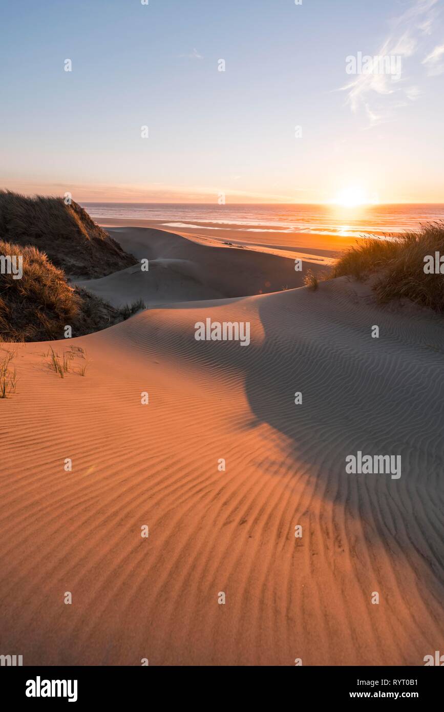 Sonnenuntergang, Sandstrand mit Dünen an der Küste, Erle Düne, Baker Beach, Aussichtspunkt Holman Vista, California, USA Stockfoto