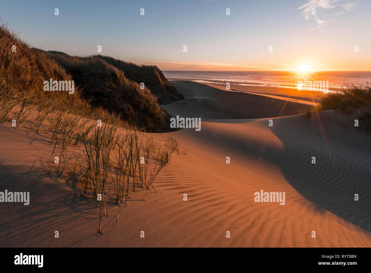 Sonnenuntergang, Sandstrand mit Dünen an der Küste, Erle Düne, Baker Beach, Aussichtspunkt Holman Vista, California, USA Stockfoto