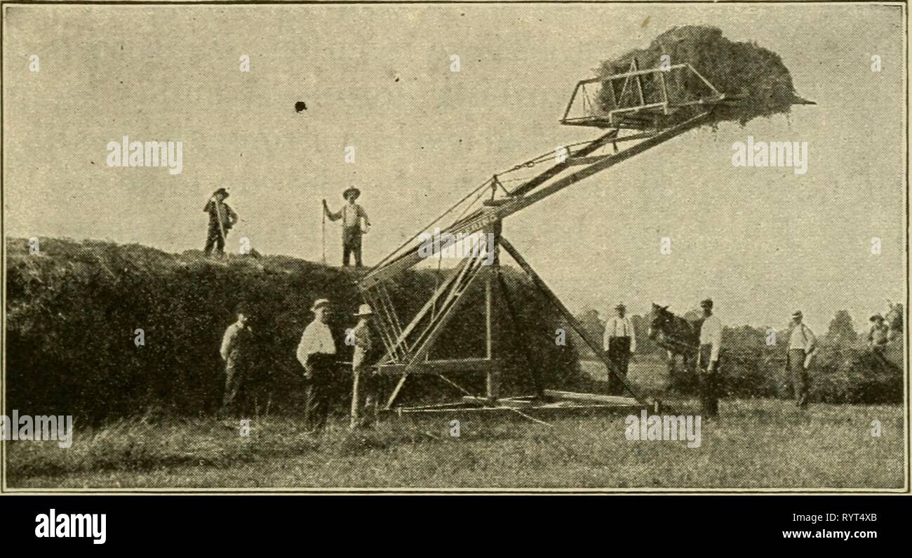 Elementare Landwirtschaft (1917) Elementare Landwirtschaft. elementaryagricu 01 nida Jahr: 1917 das HEU CEOP 151 Kühe und für die Mast liogs, Lämmer, und Vieh. Den Boden und Pflanzen. Luzerne hat eine lange Tippen - Wurzel, die Reicht sie tiefer als jede andere Farm Erntegut, oft zwölf Meter lang (Abb. 84). Also, Sie sehen, Luzerne braucht eine gut durchlässige Erde. Er gedeiht wunderbar in den trockenen Regionen. Es setzt sich in der warmen Jahreszeit zu wachsen. In Kanada sie schneiden Abb. 82. Pferd clituijor ijoicor ist als menschliche Arbeit. drei Kulturen in einer Jahreszeit, während im Arizona 8 Stecklinge oft geerntet werden. Wie Stockfoto