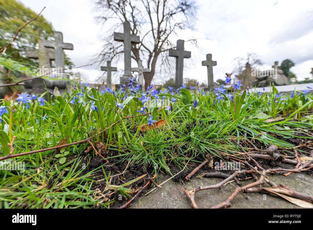 Brompton Friedhof. Im Jahre 1840 als kommerzielle Friedhof eröffnet wurde, gibt es nur sehr wenige Arme hier begraben. London. Großbritannien Stockfoto