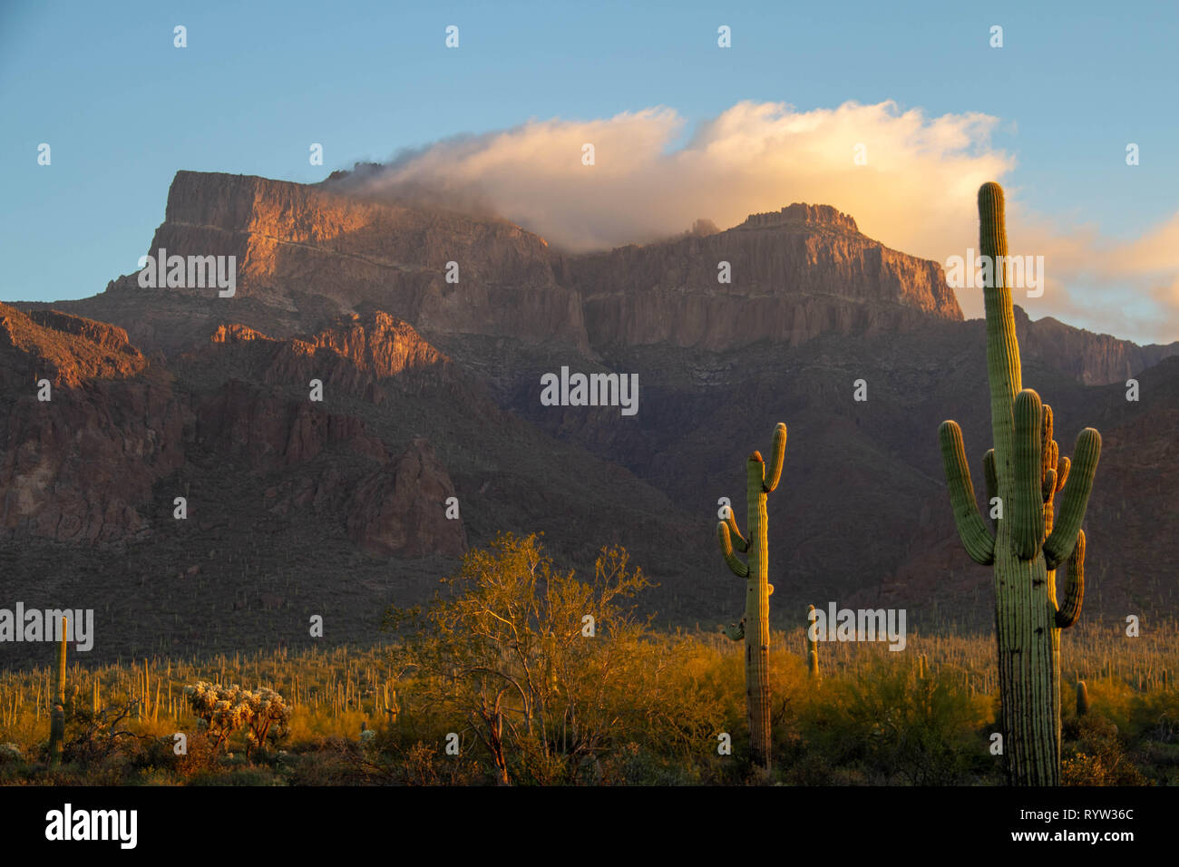 Morgen Bild der Superstition Mountains von Arizona mit einer Wolke über die Berggipfel spiegeln. Stockfoto