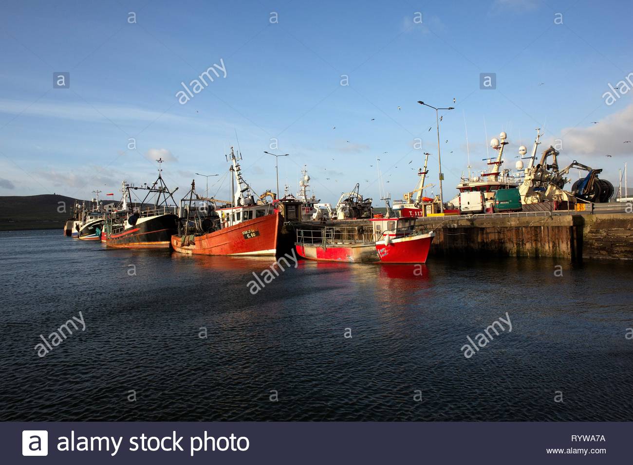 Boote gebunden im Dingle Pier, County Kerry Irland Stockfoto