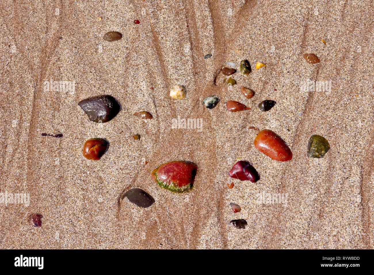 Eine Sammlung bunter verstreuter nasser Kieselsteine, die nach dem Tide auf dem Sand zurückgelassen wurden. Stockfoto