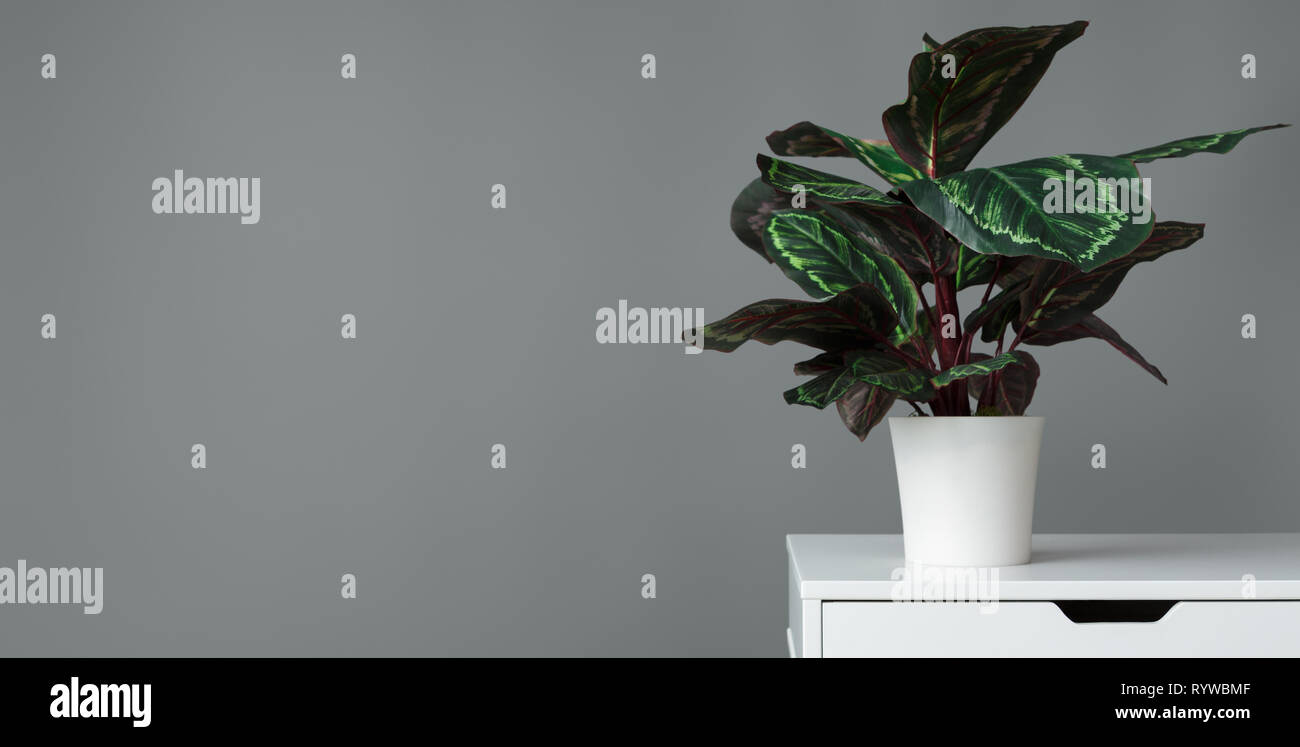 Grün Grün Konzept Stockfoto