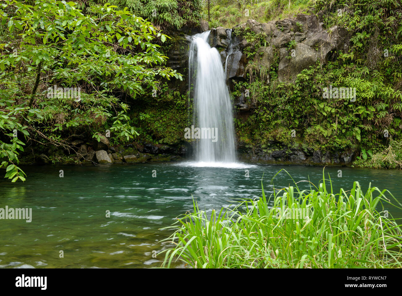 Tropischen Wasserfall - Untere Puaa Kaa Wasserfall und einem kleinen Teich, innerhalb eines dichten tropischen Regenwald, an der Straße nach Hana Highway, Maui, Hawaii, USA Stockfoto