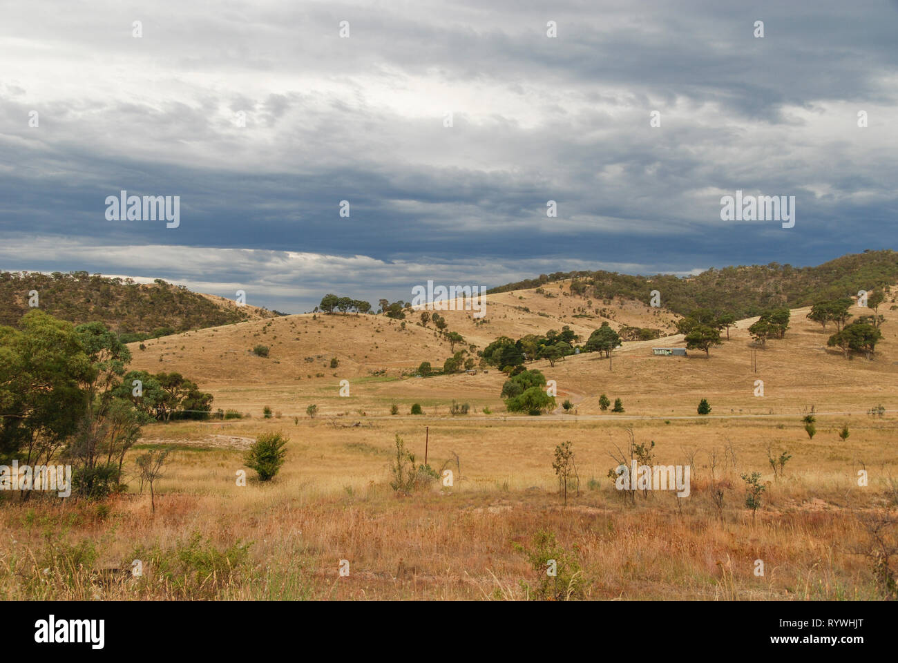 Royalla, New South Wales, Australien. 12 Jan, 2013. Australische Landschaft Stockfoto