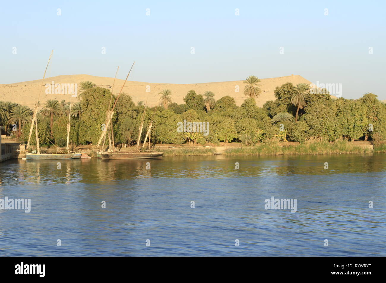 Felucca Boote angedockt am Ufer des Nil, Ägypten, Nordafrika, Naher Osten Stockfoto
