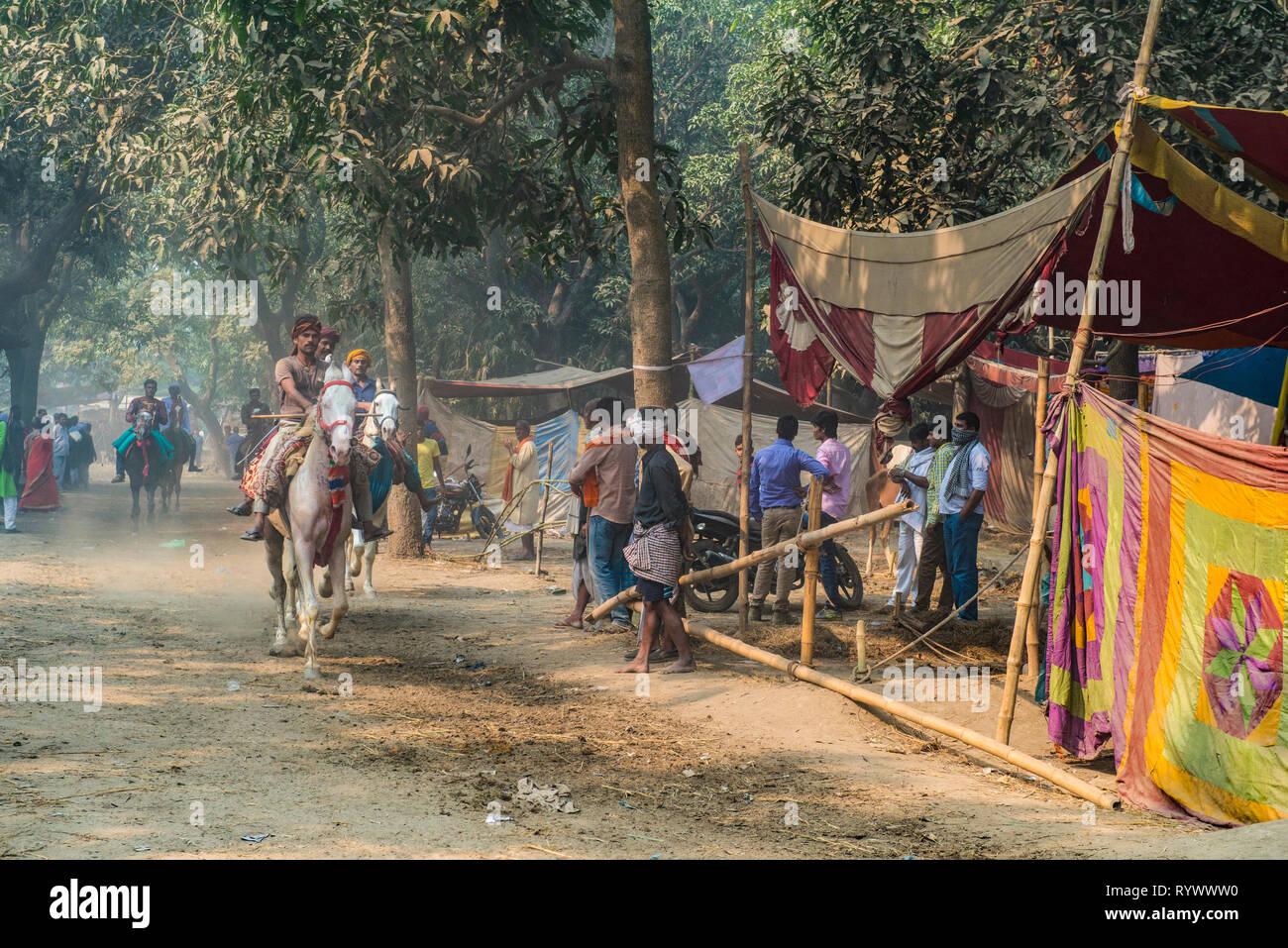 SONPUR, Bihar, INDIEN - 30. November 2015. Reiter die Pferde auf einem staubigen Lane während der jährlichen Sonepur viehmarkt vor buyiing Stockfoto