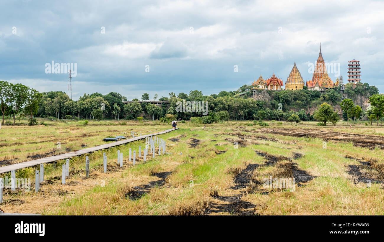 Reisfeld mit Holzsteg mit Wat Tham Suea im Hintergrund Stockfoto