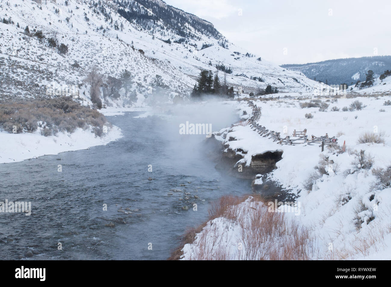Dampf über den brodelnden Fluss im Yellowstone National Park im Winter 2019. Stockfoto