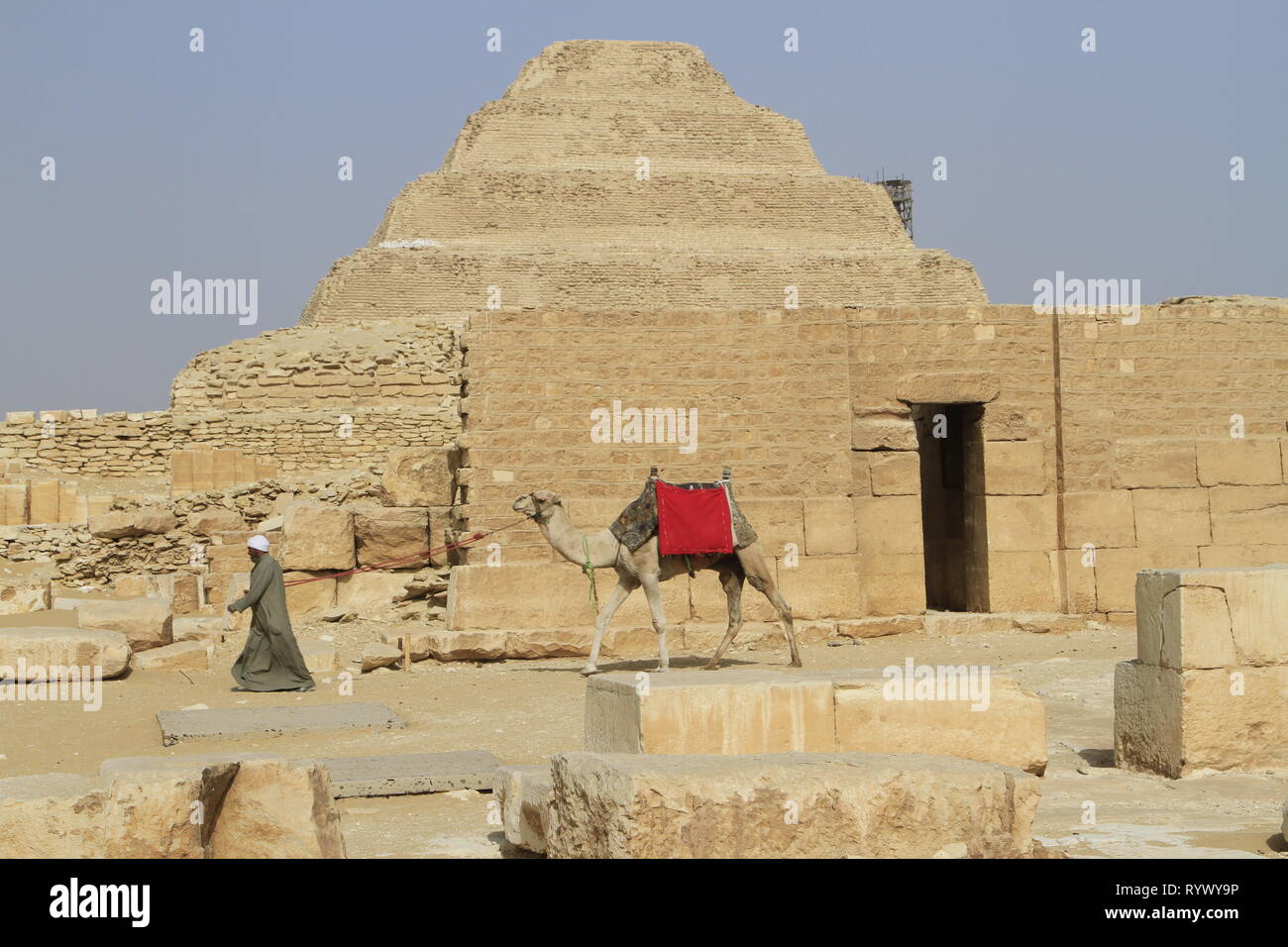 Mann Kamel mit einem roten Sattel Decke, trat Pyramide des Djoser, Saqqara, Gizeh Governorate, Ägypten Stockfoto