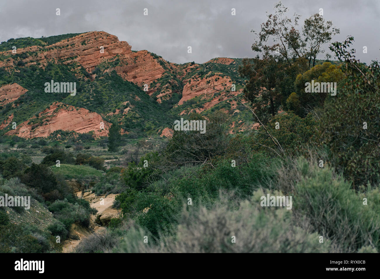 Der Red Rock Canyon mit einer sand Stone Cliff in grünen Pflanzen abgedeckt Stockfoto