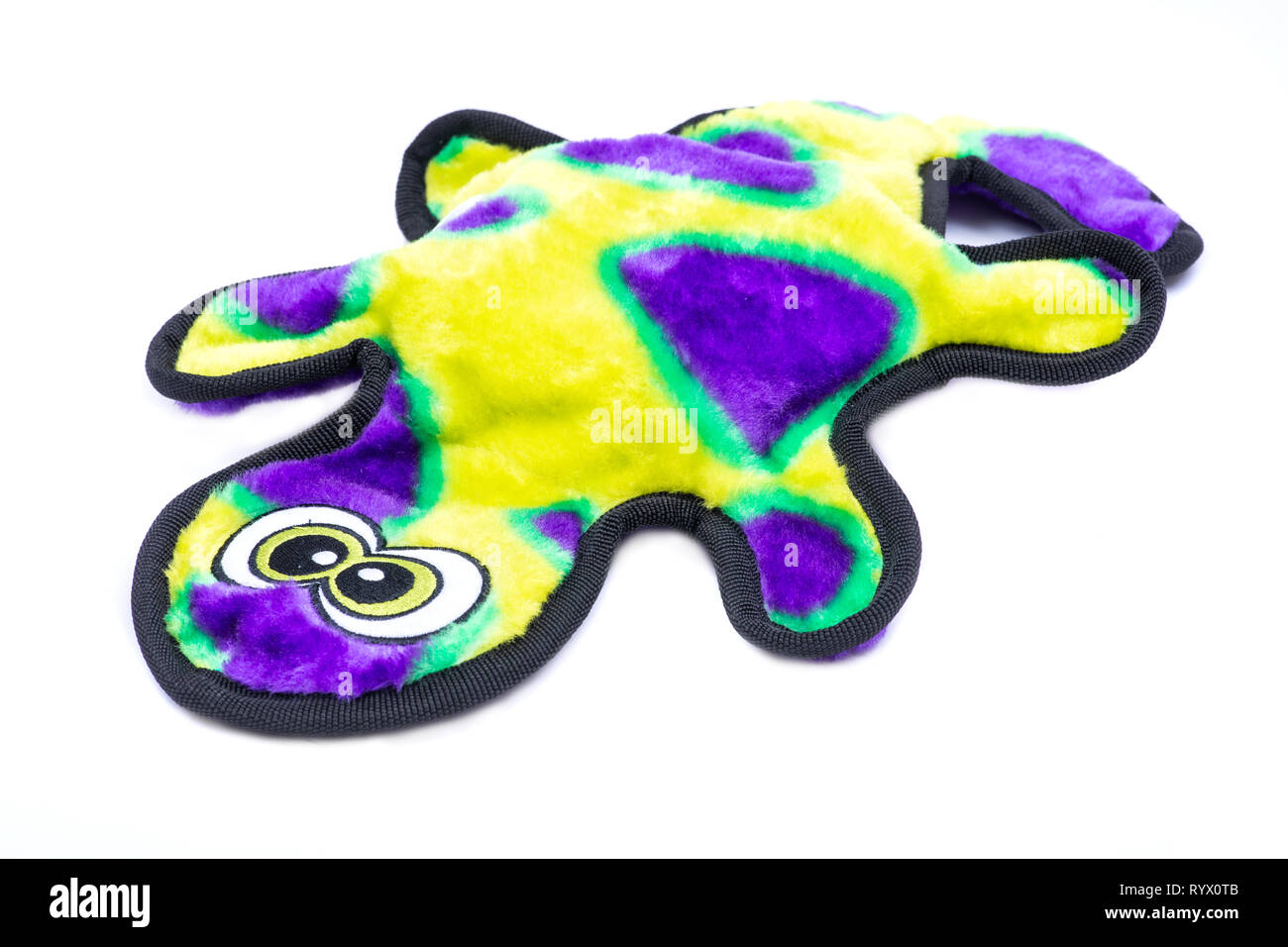 Gecko Stuffingless strapazierfähiger Plüsch Hund quietschendes Spielzeug isoliert auf weißem Hintergrund. Stockfoto