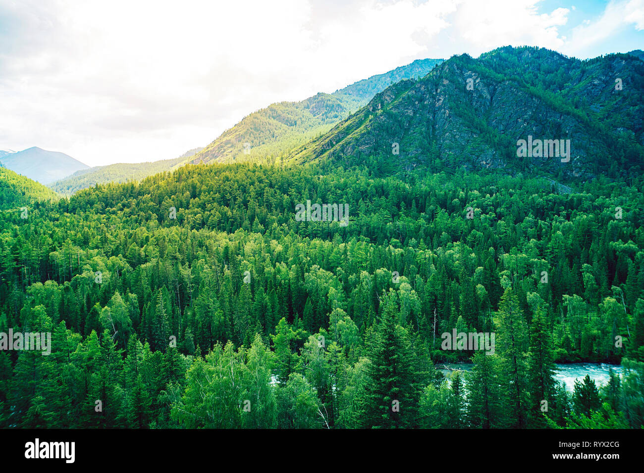 Tal und Bergrücken. dichten Wald Natur Landschaft Luftbild Drohne Aussicht hoch über dichte Wälder. Schöne taiga Landschaft. Wilde unberührte Natur. Stockfoto